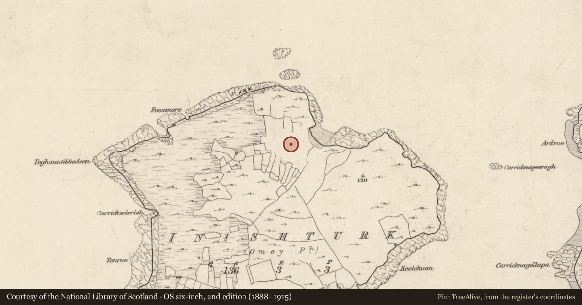 Ordnance Survey six-inch map, 2nd edition (1888–1915) covering the location of Burial ground, Inishturk, County Galway, with a pin at the register's coordinates
