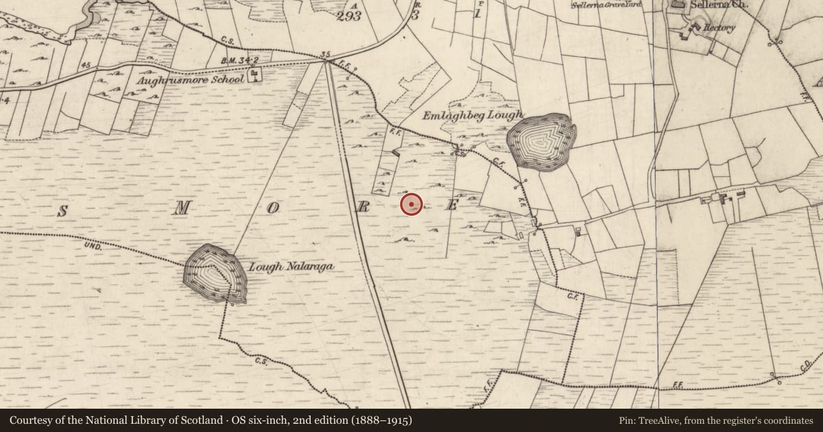 Ordnance Survey six-inch map, 2nd edition (1888–1915) covering the location of Field boundary, Aughrus More, County Galway, with a pin at the register's coordinates
