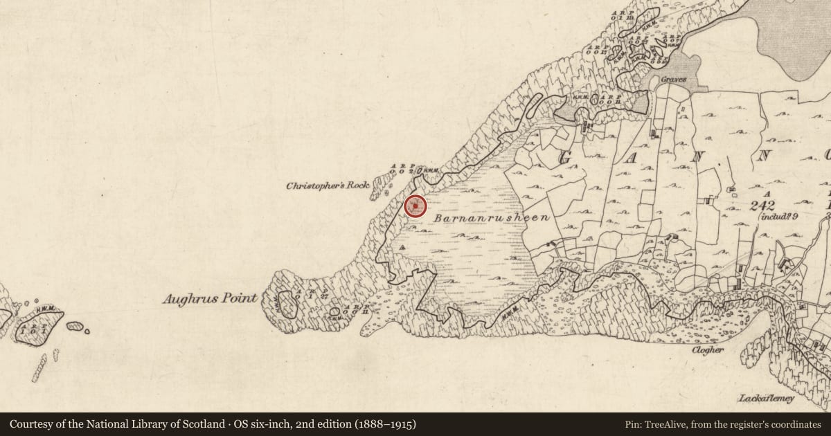 Ordnance Survey six-inch map, 2nd edition (1888–1915) covering the location of Stone sculpture, Gannoughs, County Galway, with a pin at the register's coordinates