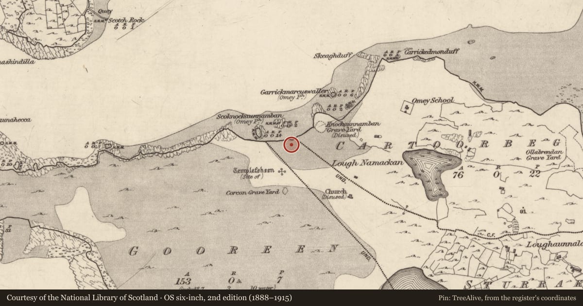 Ordnance Survey six-inch map, 2nd edition (1888–1915) covering the location of Midden, Cartoorbeg, Sturrakeen, County Galway, with a pin at the register's coordinates