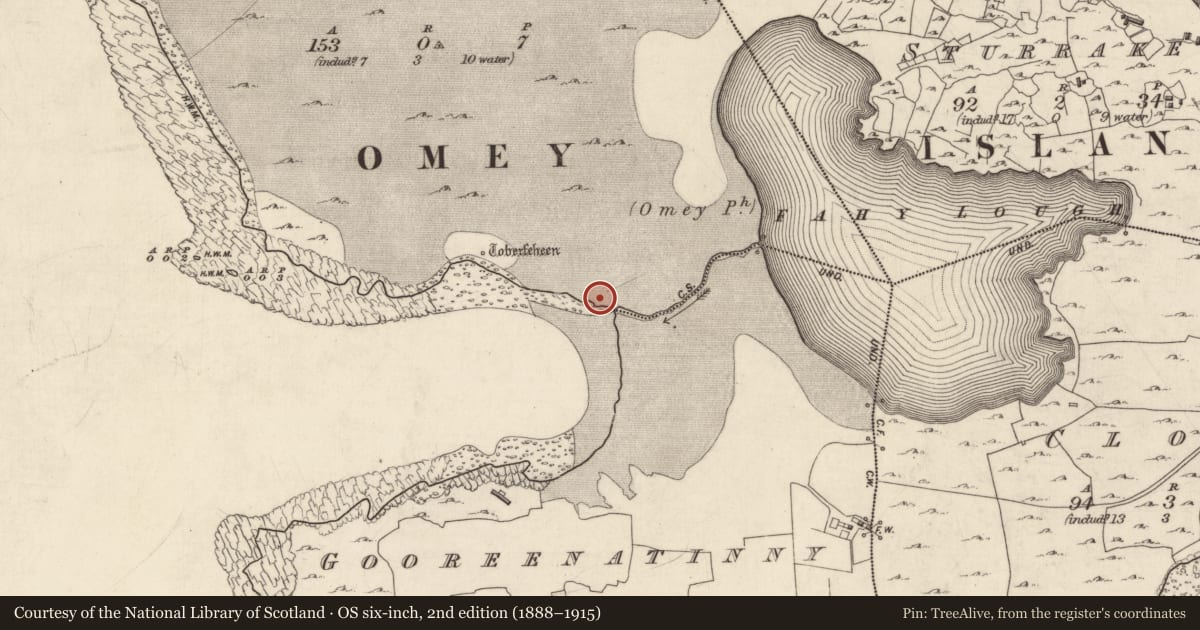 Ordnance Survey six-inch map, 2nd edition (1888–1915) covering the location of Structure, Gooreen, County Galway, with a pin at the register's coordinates