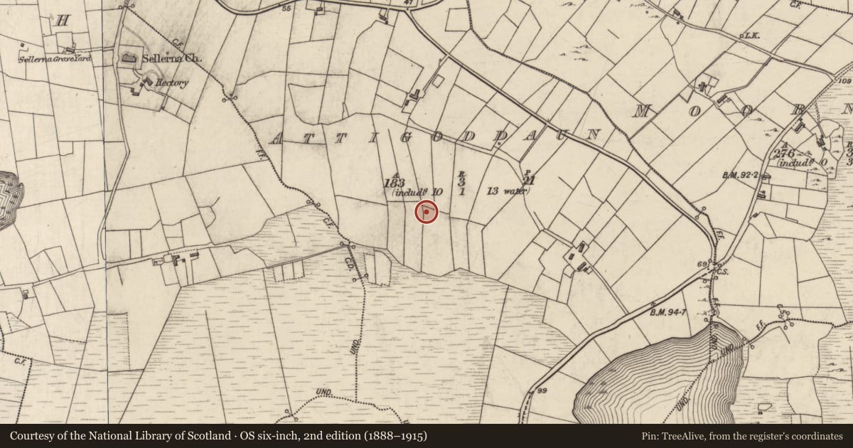 Ordnance Survey six-inch map, 2nd edition (1888–1915) covering the location of Standing stone - pair, Attigoddaun, County Galway, with a pin at the register's coordinates