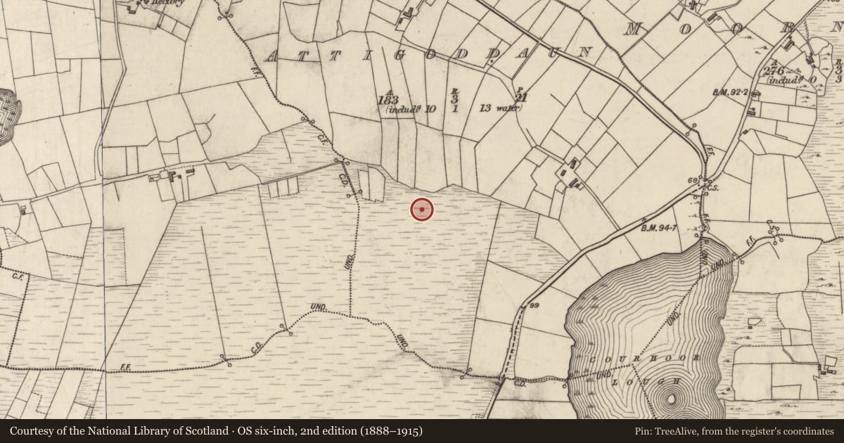Ordnance Survey six-inch map, 2nd edition (1888–1915) covering the location of Field boundary, Attigoddaun, County Galway, with a pin at the register's coordinates