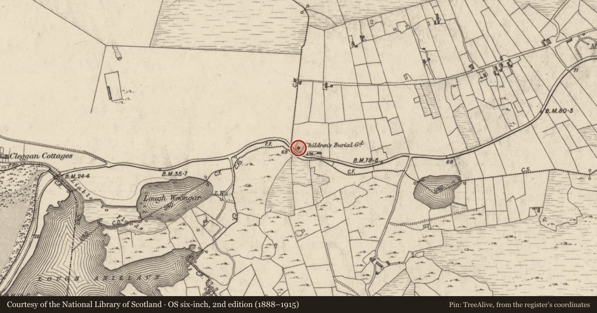 Ordnance Survey six-inch map, 2nd edition (1888–1915) covering the location of Cross-slab, Ballynew, County Galway, with a pin at the register's coordinates