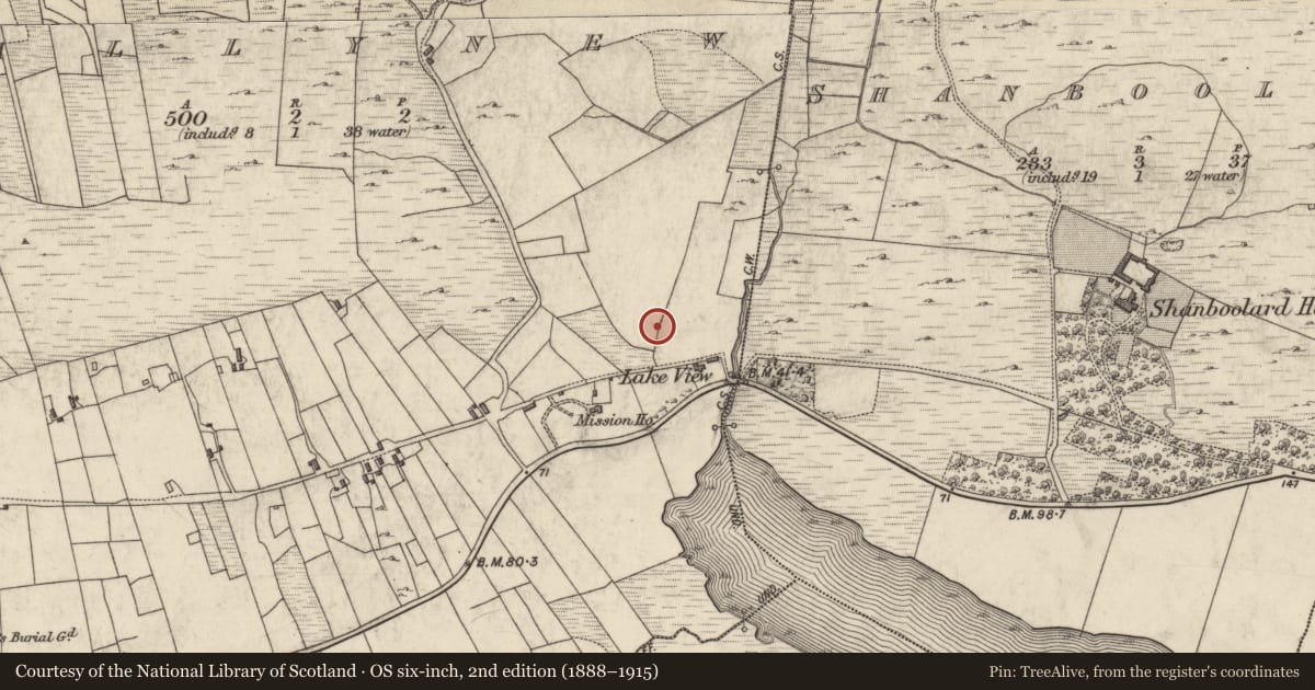 Ordnance Survey six-inch map, 2nd edition (1888–1915) covering the location of Megalithic tomb - court tomb, Ballynew, County Galway, with a pin at the register's coordinates