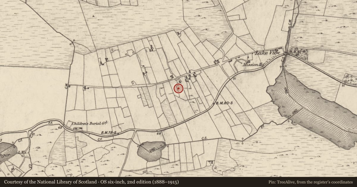 Ordnance Survey six-inch map, 2nd edition (1888–1915) covering the location of Megalithic tomb - court tomb, Ballynew, County Galway, with a pin at the register's coordinates