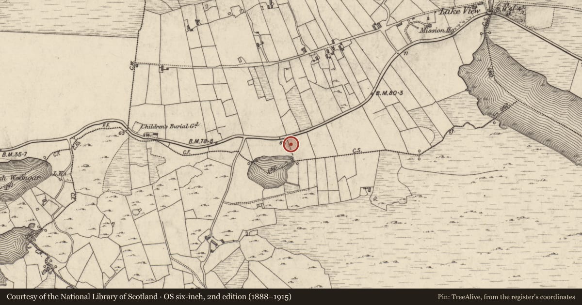 Ordnance Survey six-inch map, 2nd edition (1888–1915) covering the location of Megalithic tomb - portal tomb, Ballynew, County Galway, with a pin at the register's coordinates