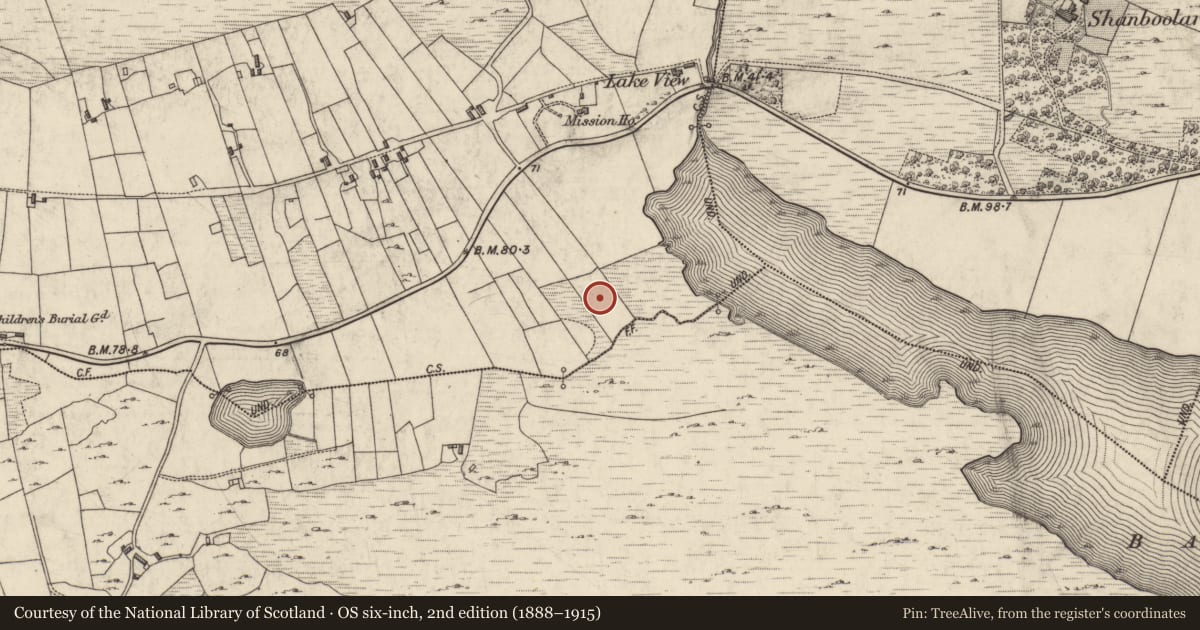 Ordnance Survey six-inch map, 2nd edition (1888–1915) covering the location of Standing stone - pair, Ballynew, County Galway, with a pin at the register's coordinates