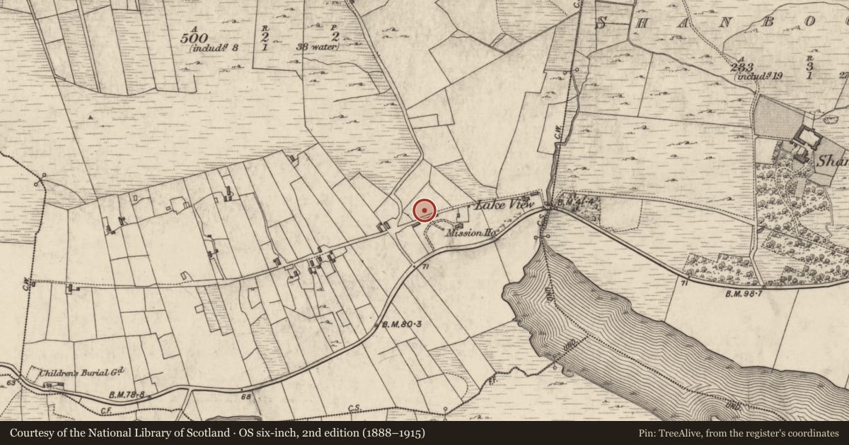 Ordnance Survey six-inch map, 2nd edition (1888–1915) covering the location of Cross, Ballynew, County Galway, with a pin at the register's coordinates