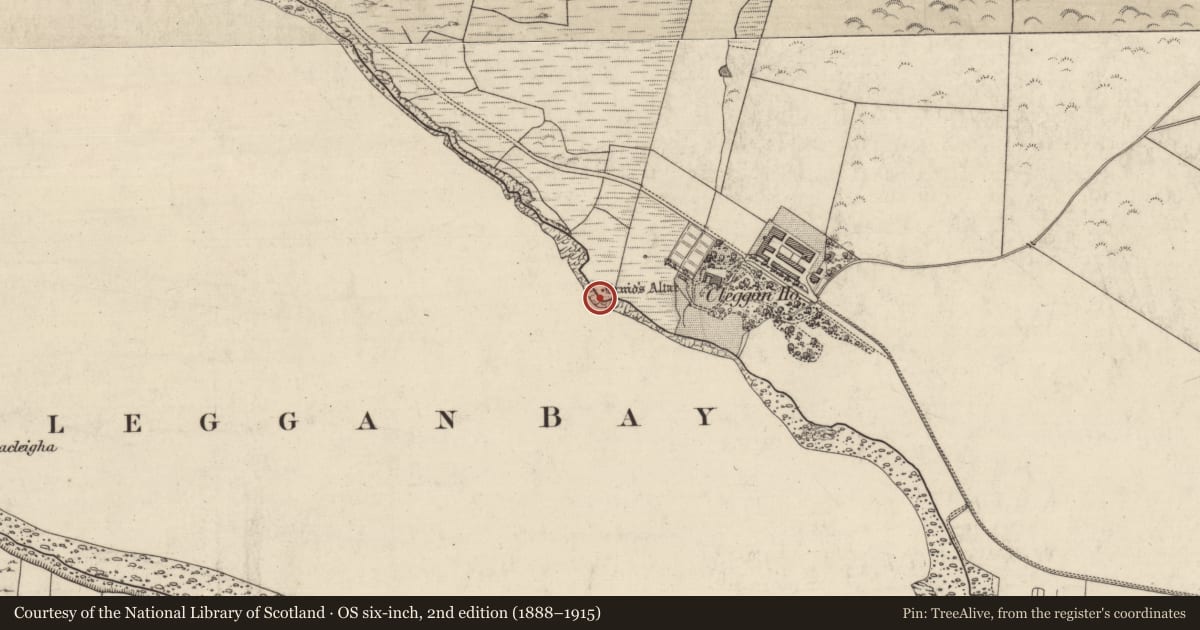 Ordnance Survey six-inch map, 2nd edition (1888–1915) covering the location of Megalithic tomb - court tomb, Cleggan, County Galway, with a pin at the register's coordinates