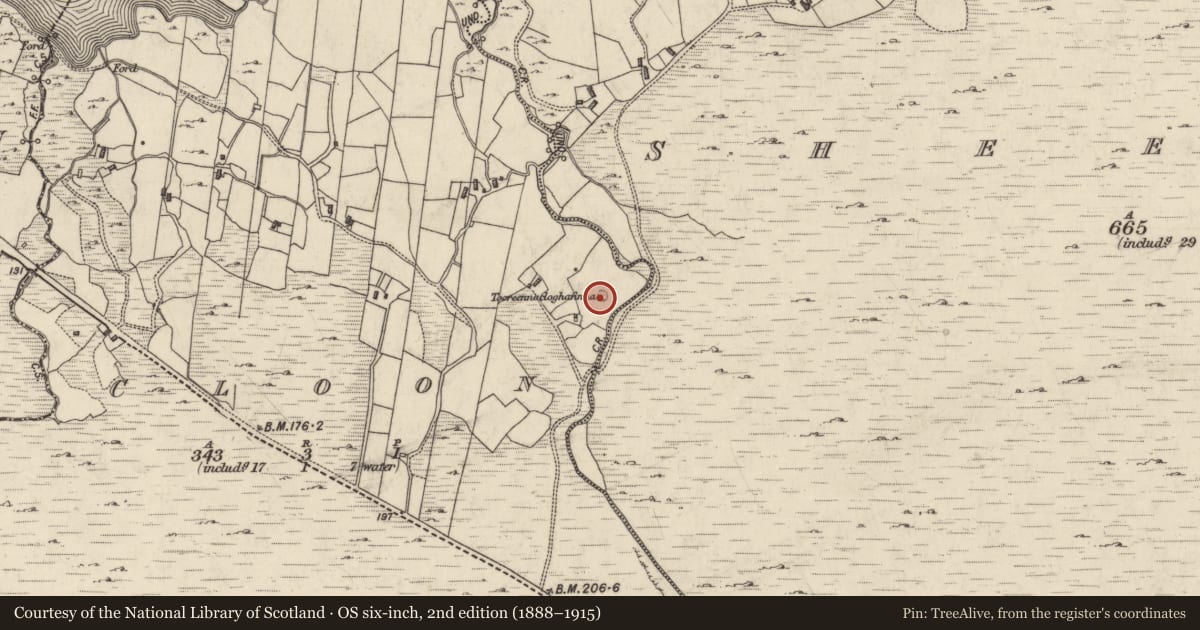 Ordnance Survey six-inch map, 2nd edition (1888–1915) covering the location of House - indeterminate date, An Cluain, County Galway, with a pin at the register's coordinates