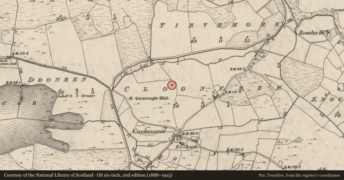 Ordnance Survey six-inch map, 2nd edition (1888–1915) covering the location of Megalithic tomb - unclassified, Clooncree, County Galway, with a pin at the register's coordinates