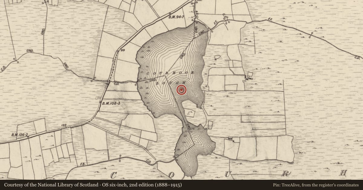 Ordnance Survey six-inch map, 2nd edition (1888–1915) covering the location of Ringfort - cashel, Courhoor, County Galway, with a pin at the register's coordinates