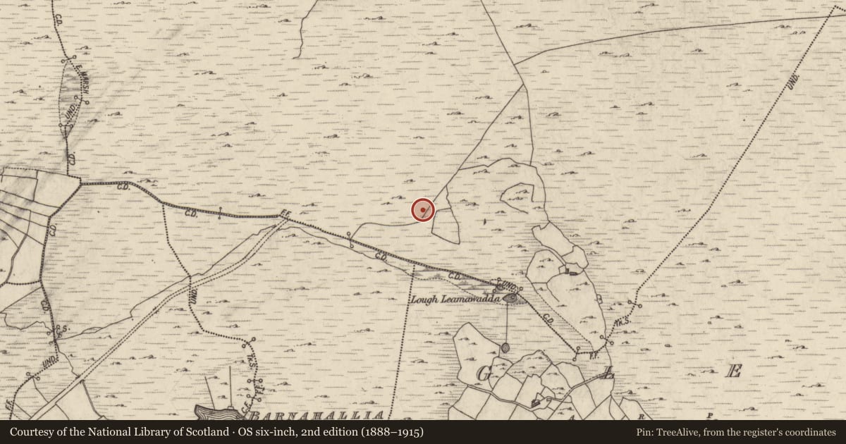 Ordnance Survey six-inch map, 2nd edition (1888–1915) covering the location of Field boundary, Courhoor, County Galway, with a pin at the register's coordinates