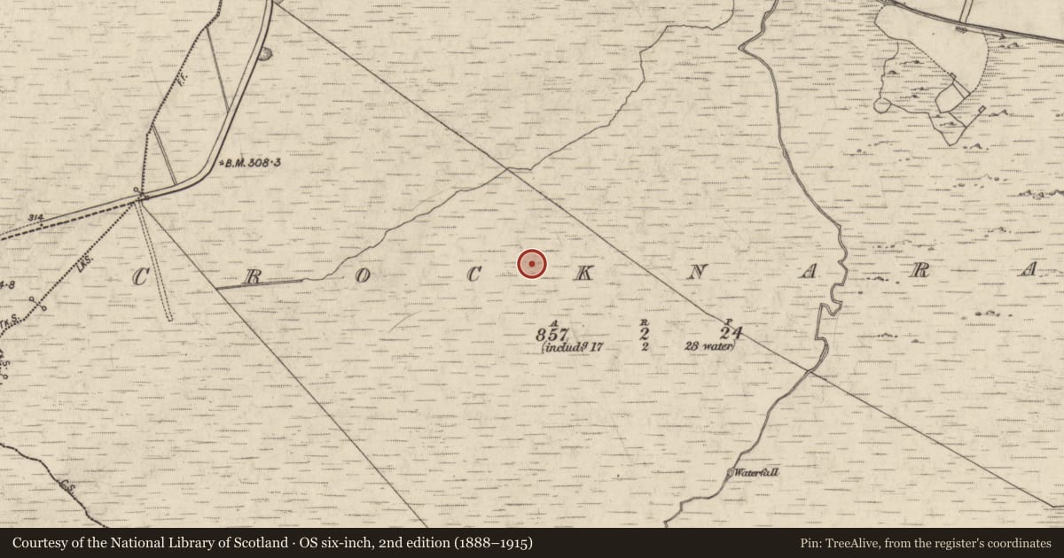 Ordnance Survey six-inch map, 2nd edition (1888–1915) covering the location of Standing stone - pair, Crocknaraw, County Galway, with a pin at the register's coordinates