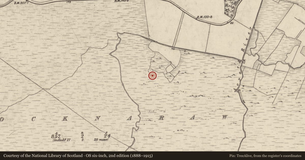 Ordnance Survey six-inch map, 2nd edition (1888–1915) covering the location of Field system, Crocknaraw, County Galway, with a pin at the register's coordinates