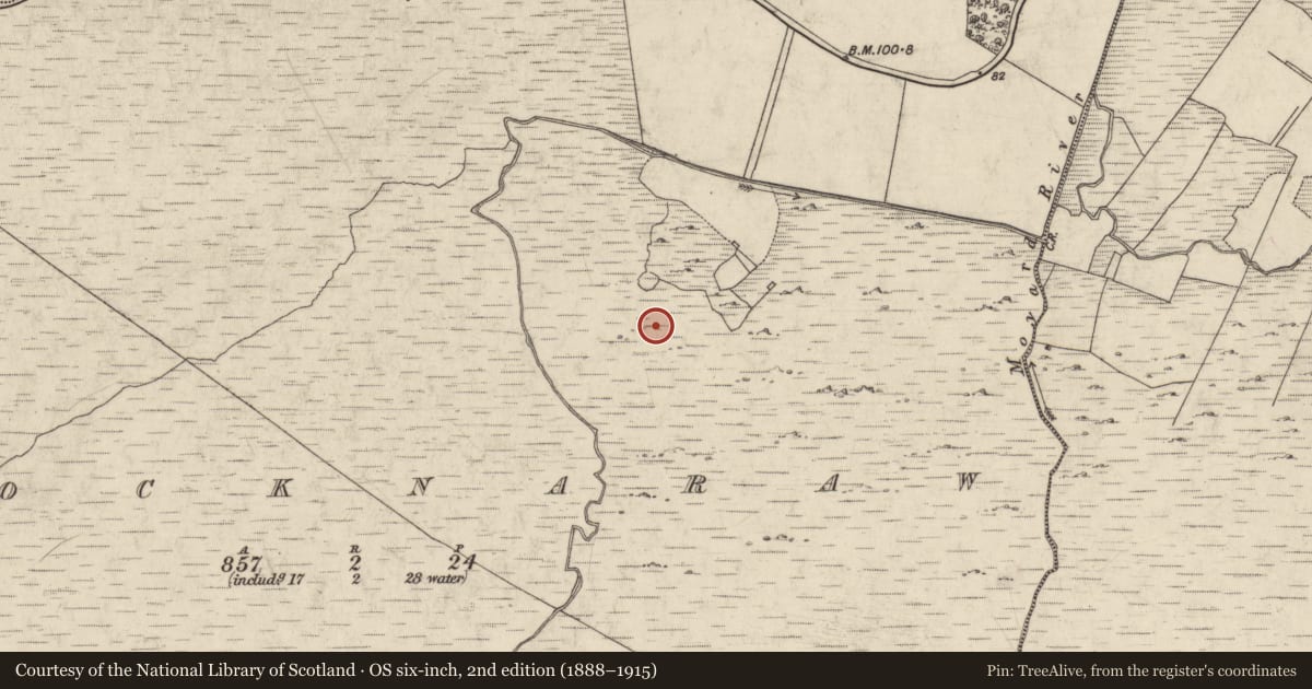 Ordnance Survey six-inch map, 2nd edition (1888–1915) covering the location of Standing stone - pair, Crocknaraw, County Galway, with a pin at the register's coordinates