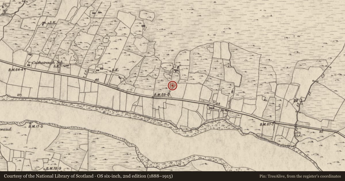 Ordnance Survey six-inch map, 2nd edition (1888–1915) covering the location of Mass-rock, Cushatrough, County Galway, with a pin at the register's coordinates
