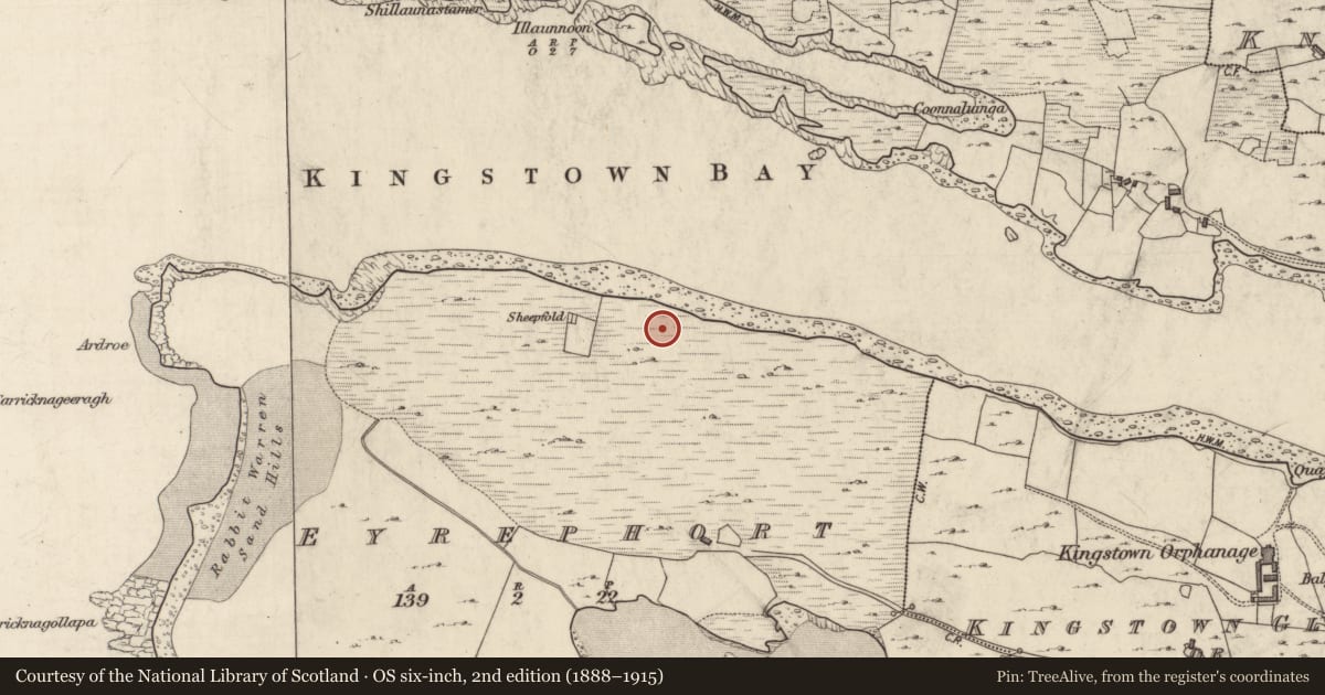 Ordnance Survey six-inch map, 2nd edition (1888–1915) covering the location of Megalithic tomb - wedge tomb, Eyrephort, County Galway, with a pin at the register's coordinates