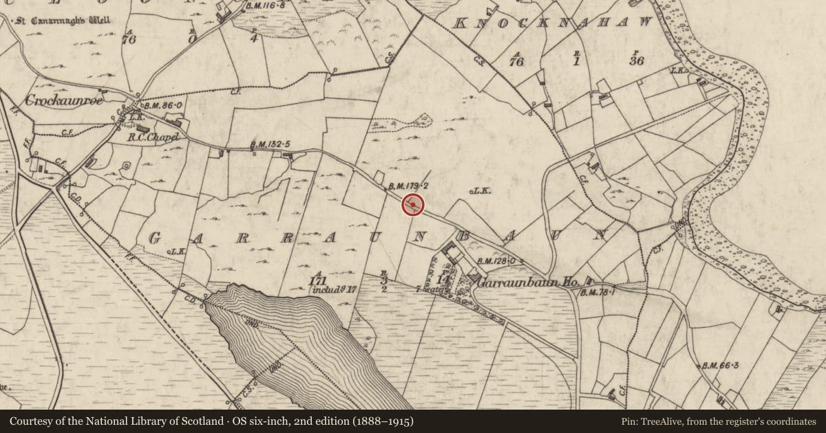 Ordnance Survey six-inch map, 2nd edition (1888–1915) covering the location of Standing stone, Garraunbaun, County Galway, with a pin at the register's coordinates