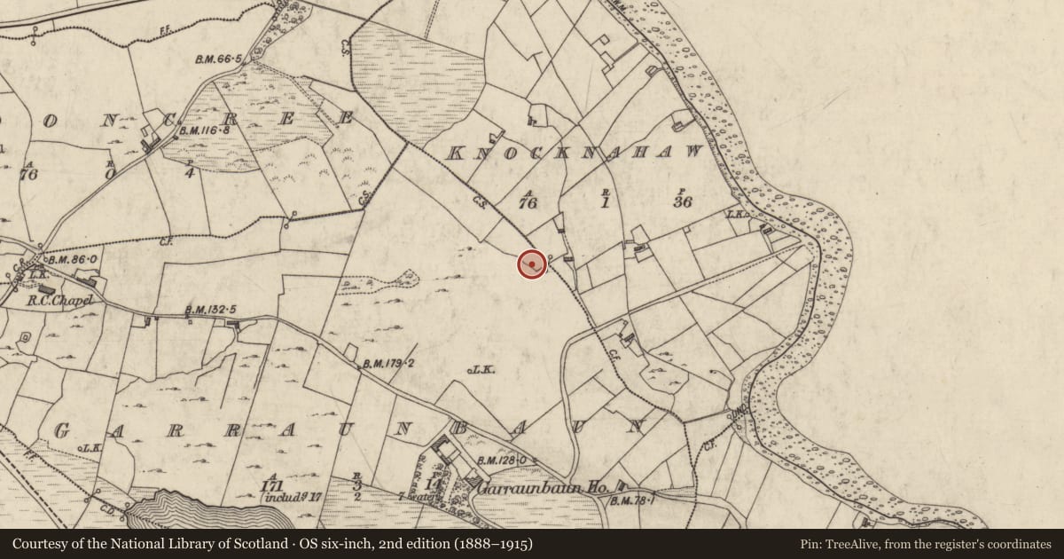 Ordnance Survey six-inch map, 2nd edition (1888–1915) covering the location of Megalithic tomb - court tomb, Garraunbaun, County Galway, with a pin at the register's coordinates