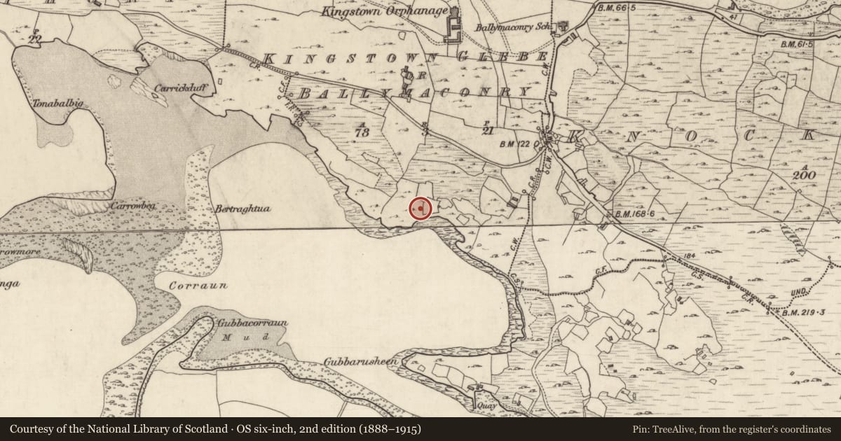 Ordnance Survey six-inch map, 2nd edition (1888–1915) covering the location of Ritual site - holy well, Kingstown Glebe Or Ballymaconry, County Galway, with a pin at the register's coordinates