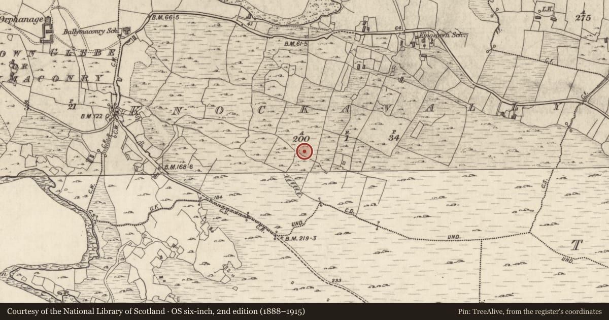 Ordnance Survey six-inch map, 2nd edition (1888–1915) covering the location of Megalithic tomb - portal tomb, Knockavally, County Galway, with a pin at the register's coordinates
