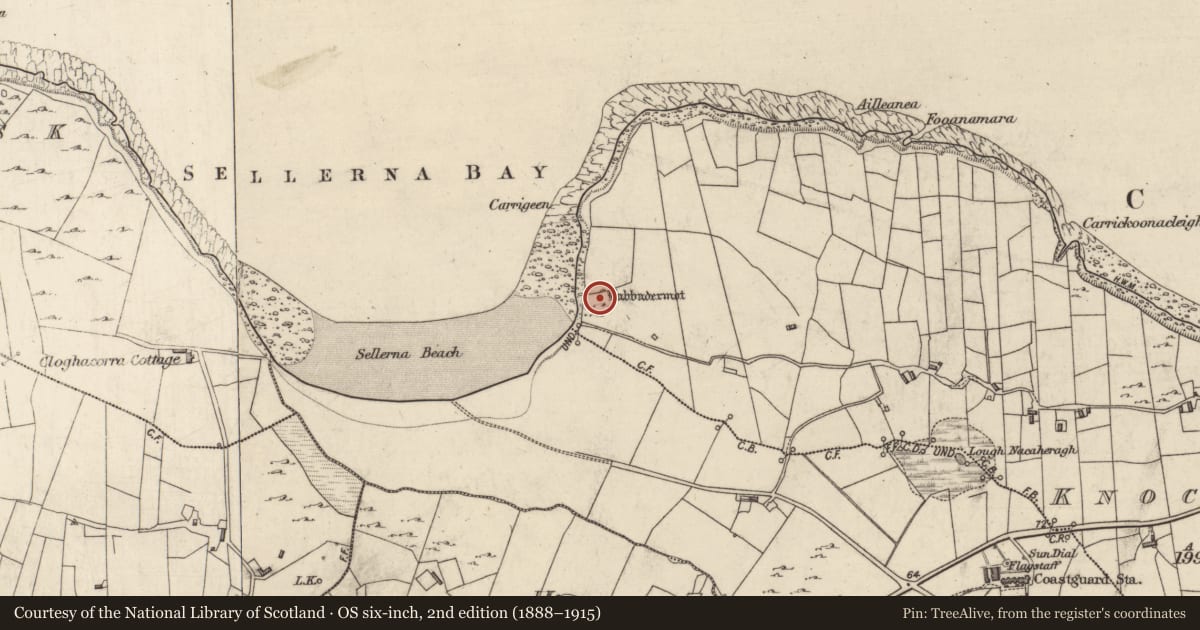 Ordnance Survey six-inch map, 2nd edition (1888–1915) covering the location of Megalithic tomb - unclassified, Knockbrack, County Galway, with a pin at the register's coordinates