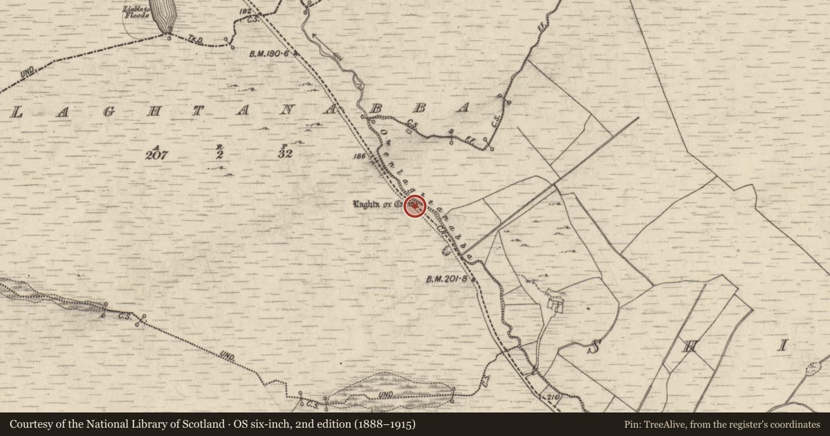 Ordnance Survey six-inch map, 2nd edition (1888–1915) covering the location of Cairn - wayside cairn, Laghtanabba, County Galway, with a pin at the register's coordinates