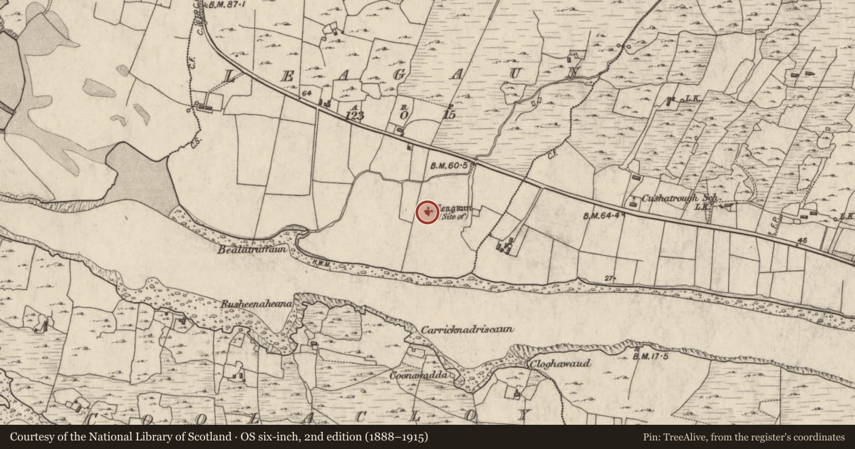 Ordnance Survey six-inch map, 2nd edition (1888–1915) covering the location of Standing stone, Leagun, County Galway, with a pin at the register's coordinates