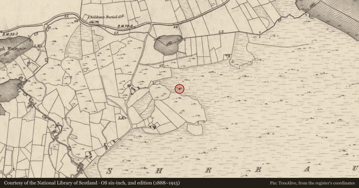 Ordnance Survey six-inch map, 2nd edition (1888–1915) covering the location of Stone row, Sheeauns, County Galway, with a pin at the register's coordinates