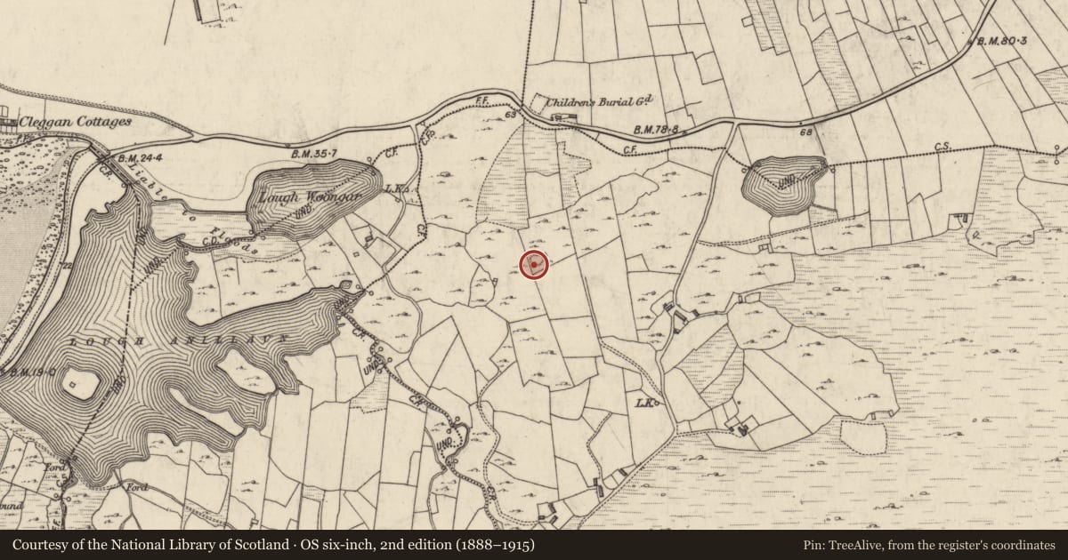 Ordnance Survey six-inch map, 2nd edition (1888–1915) covering the location of Enclosure, Sheeauns, County Galway, with a pin at the register's coordinates