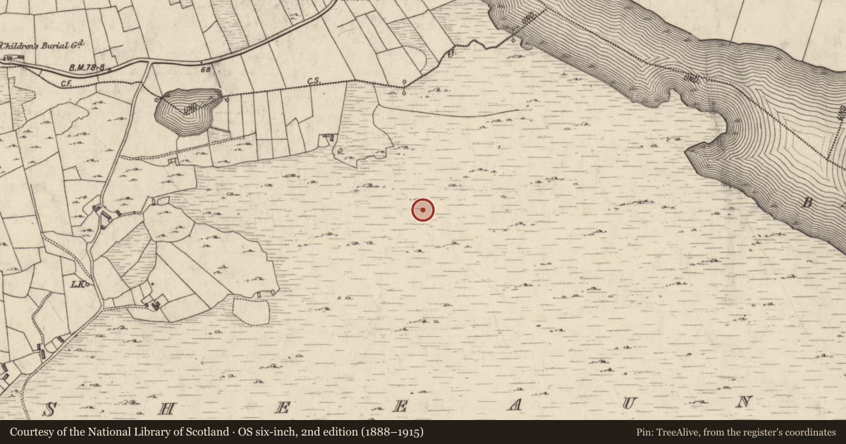 Ordnance Survey six-inch map, 2nd edition (1888–1915) covering the location of Enclosure, Sheeauns, County Galway, with a pin at the register's coordinates