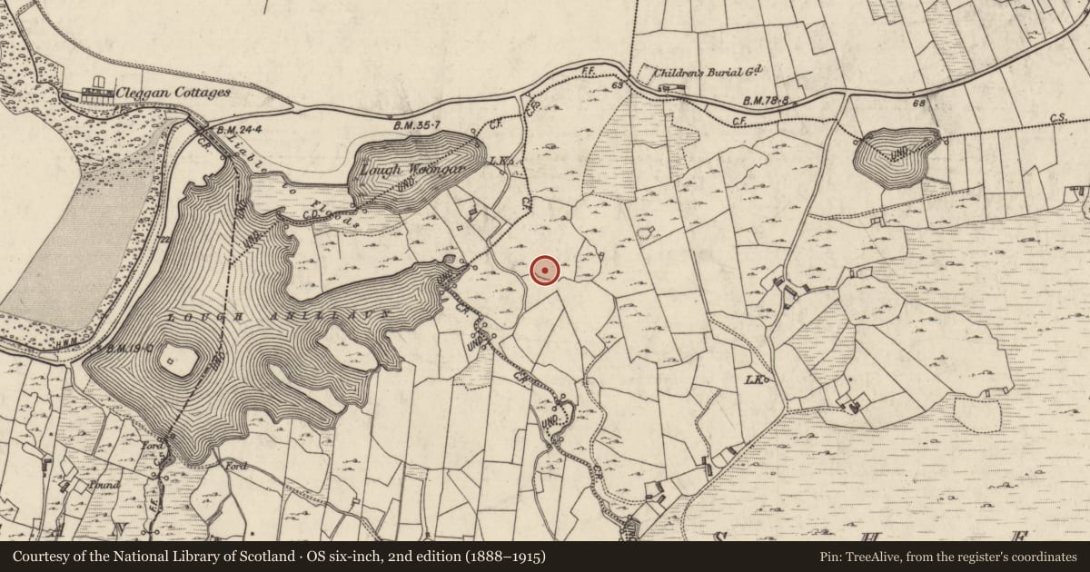 Ordnance Survey six-inch map, 2nd edition (1888–1915) covering the location of Megalithic tomb - unclassified, Sheeauns, County Galway, with a pin at the register's coordinates