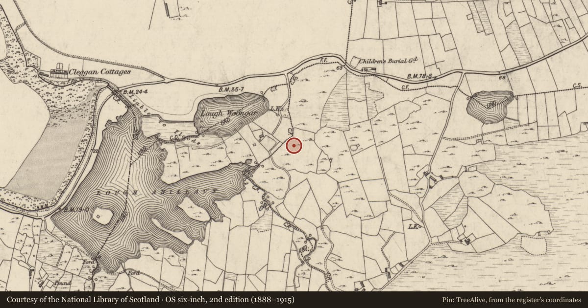 Ordnance Survey six-inch map, 2nd edition (1888–1915) covering the location of House - indeterminate date, Sheeauns, County Galway, with a pin at the register's coordinates