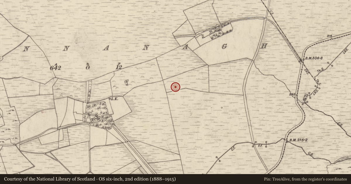 Ordnance Survey six-inch map, 2nd edition (1888–1915) covering the location of Standing stone, Shinnanagh, County Galway, with a pin at the register's coordinates