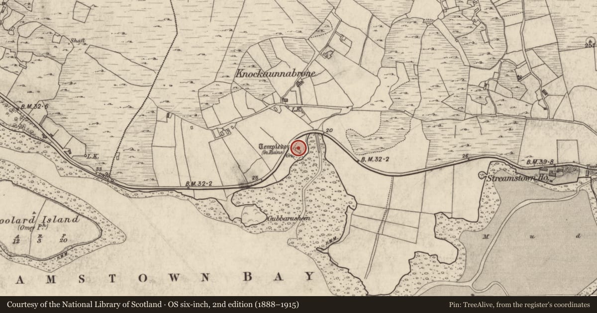Ordnance Survey six-inch map, 2nd edition (1888–1915) covering the location of Graveyard, Streamstown Or Barratrough, County Galway, with a pin at the register's coordinates