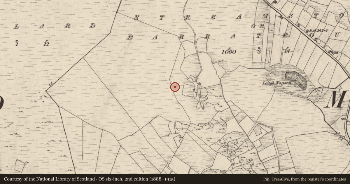 Ordnance Survey six-inch map, 2nd edition (1888–1915) covering the location of Megalithic tomb - court tomb, Streamstown Or Barratrough, County Galway, with a pin at the register's coordinates