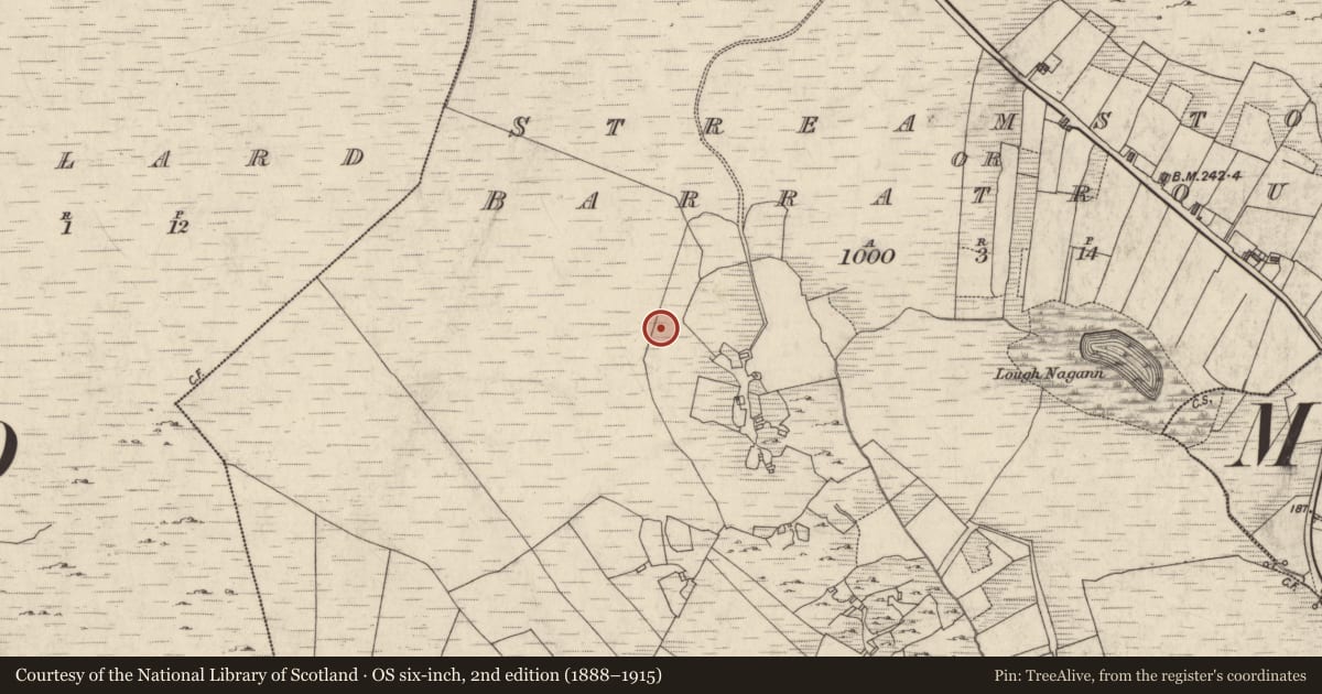 Ordnance Survey six-inch map, 2nd edition (1888–1915) covering the location of Anomalous stone group, Streamstown Or Barratrough, County Galway, with a pin at the register's coordinates