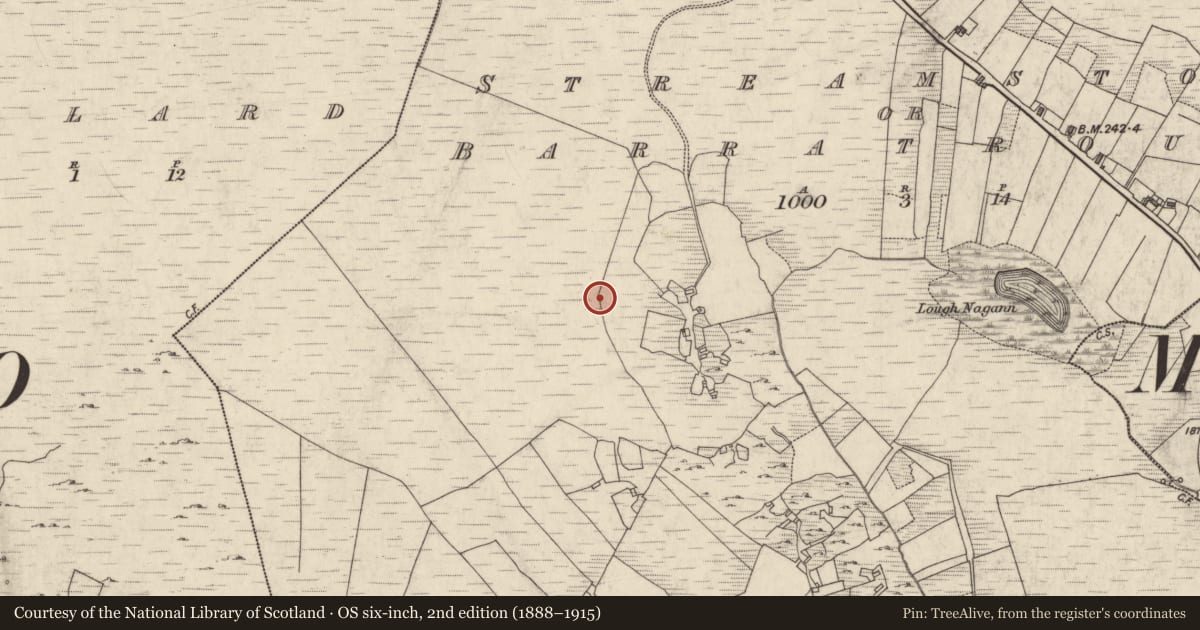 Ordnance Survey six-inch map, 2nd edition (1888–1915) covering the location of House - indeterminate date, Streamstown Or Barratrough, County Galway, with a pin at the register's coordinates