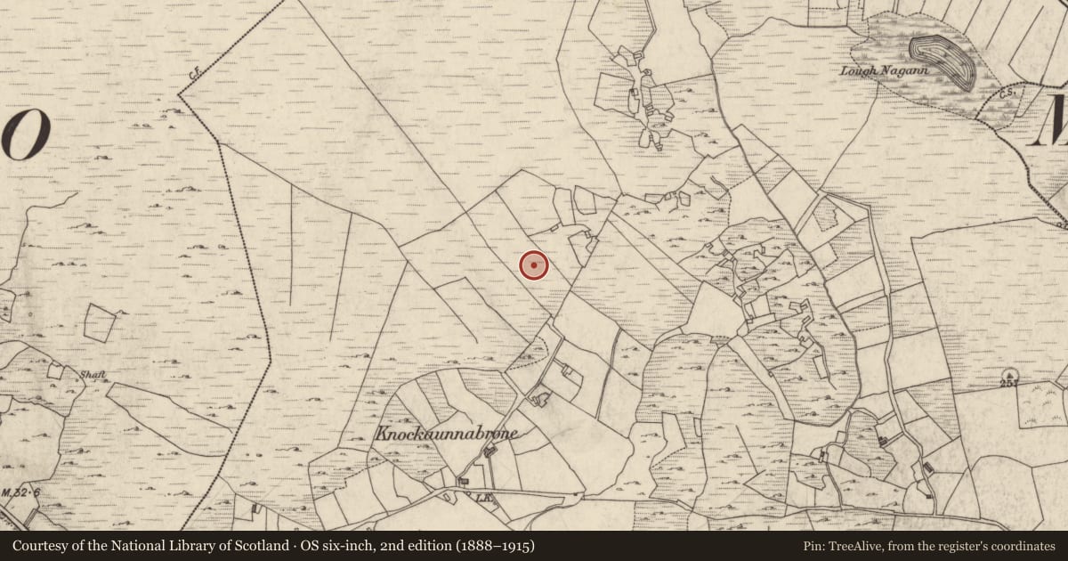 Ordnance Survey six-inch map, 2nd edition (1888–1915) covering the location of Megalithic tomb - unclassified, Streamstown Or Barratrough, County Galway, with a pin at the register's coordinates