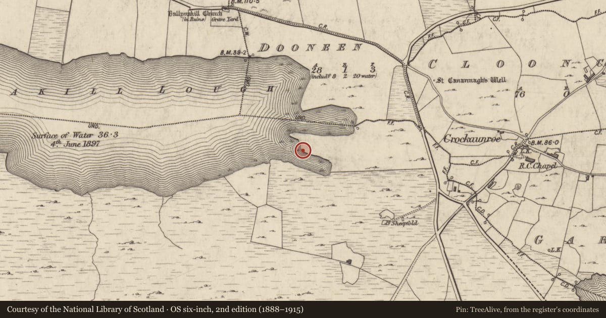 Ordnance Survey six-inch map, 2nd edition (1888–1915) covering the location of House - indeterminate date, Tooreen (Ballynahinch By., Ballynakill Par.), County Galway, with a pin at the register's coordinates