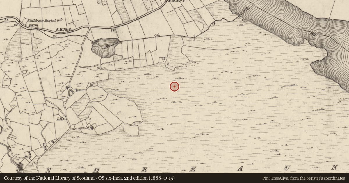 Ordnance Survey six-inch map, 2nd edition (1888–1915) covering the location of Field system, Sheeauns, County Galway, with a pin at the register's coordinates