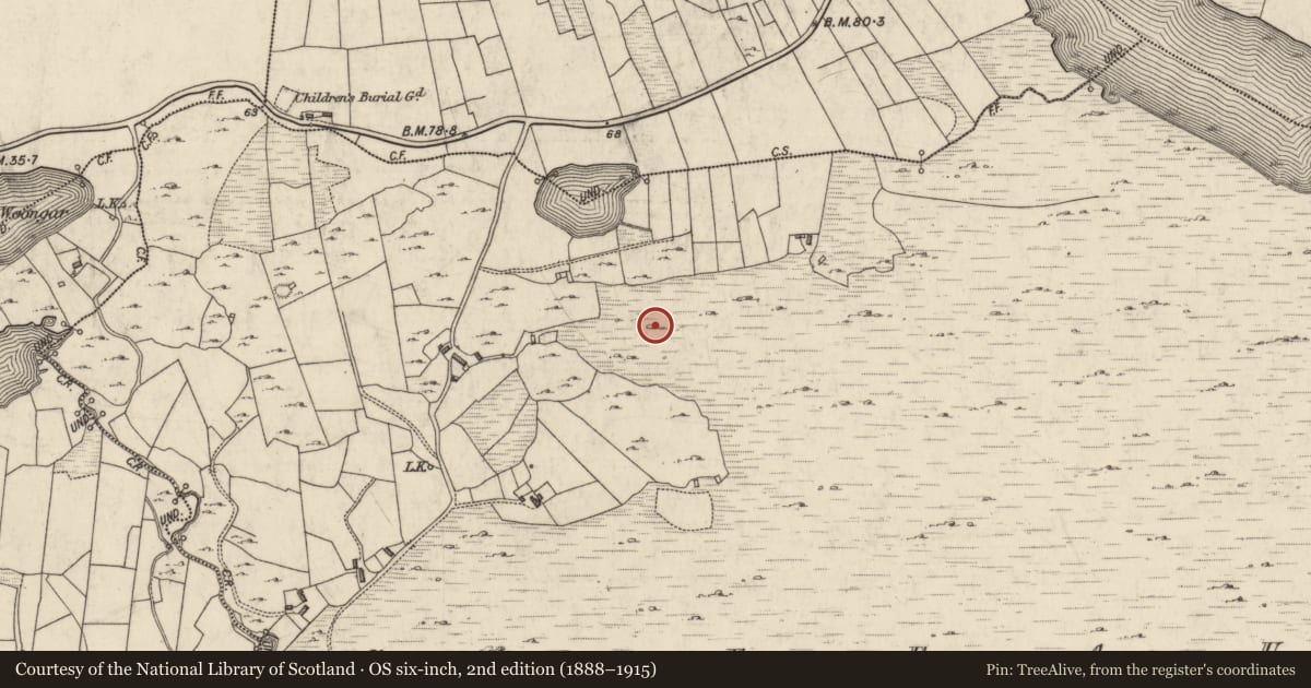 Ordnance Survey six-inch map, 2nd edition (1888–1915) covering the location of Cairn - clearance cairn, Sheeauns, County Galway, with a pin at the register's coordinates