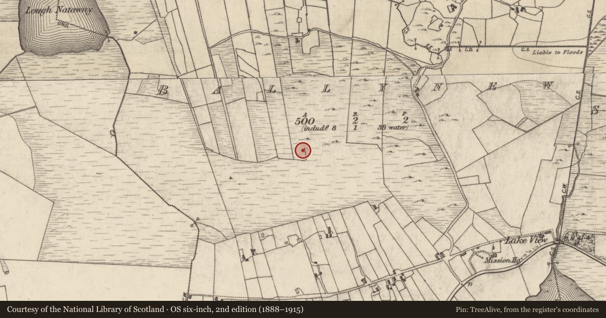 Ordnance Survey six-inch map, 2nd edition (1888–1915) covering the location of Standing stone, Ballynew, County Galway, with a pin at the register's coordinates