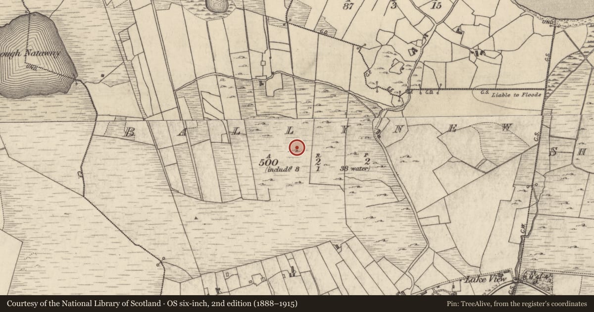 Ordnance Survey six-inch map, 2nd edition (1888–1915) covering the location of Field system, Ballynew, County Galway, with a pin at the register's coordinates