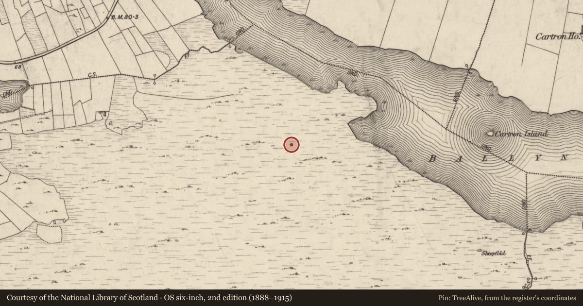 Ordnance Survey six-inch map, 2nd edition (1888–1915) covering the location of Enclosure, Sheeauns, County Galway, with a pin at the register's coordinates