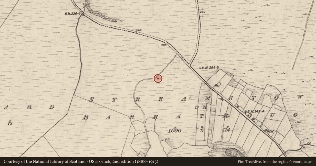 Ordnance Survey six-inch map, 2nd edition (1888–1915) covering the location of Field system, Streamstown Or Barratrough, County Galway, with a pin at the register's coordinates