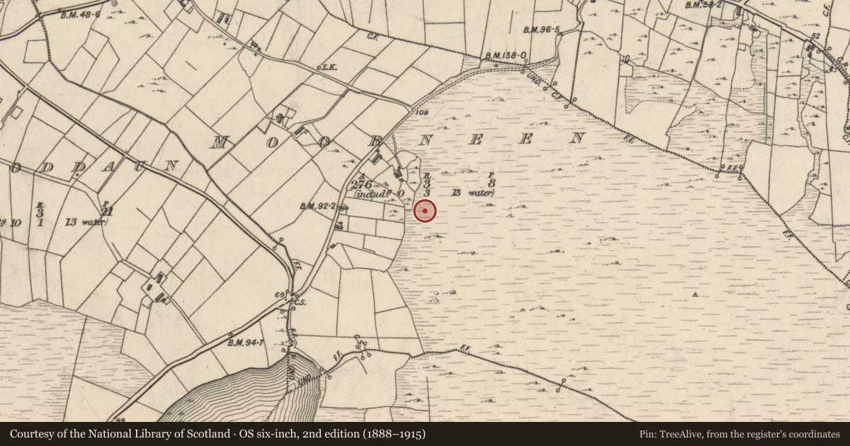 Ordnance Survey six-inch map, 2nd edition (1888–1915) covering the location of Megalithic tomb - court tomb, Moorneen, County Galway, with a pin at the register's coordinates