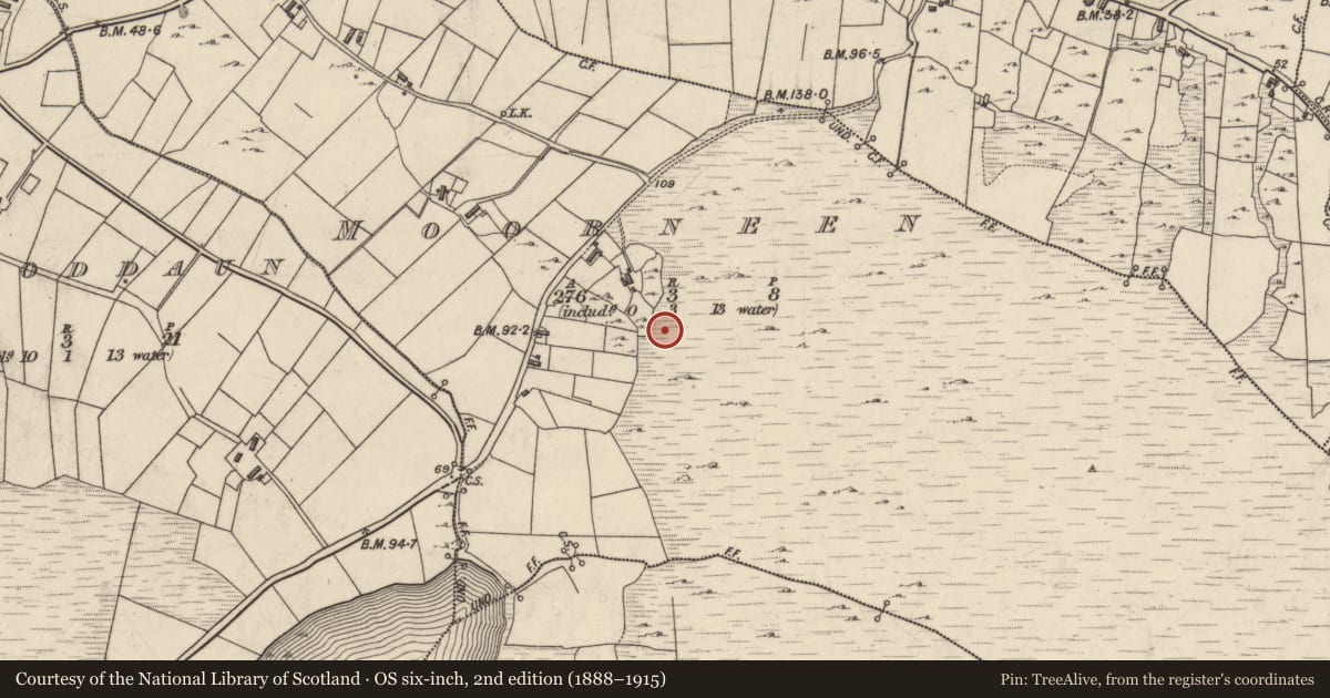 Ordnance Survey six-inch map, 2nd edition (1888–1915) covering the location of Cist, Moorneen, County Galway, with a pin at the register's coordinates